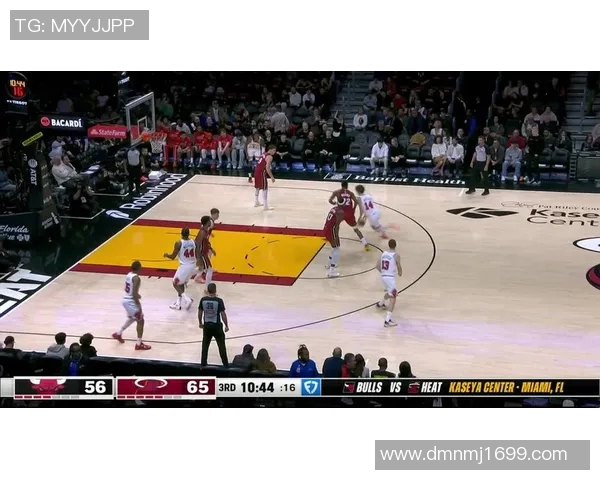 2011年NBA总决赛公牛对热火精彩录像回顾与分析